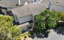 39923 Potrero Dr, Newark, CA 94560